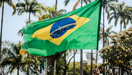 Brazilian portuguese
