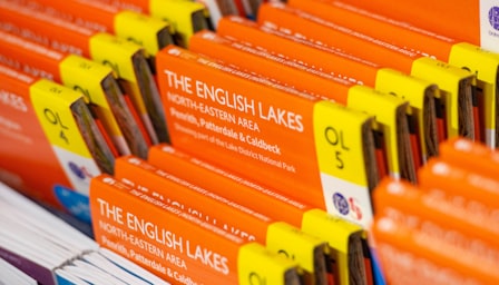 English language beginner and elementary level