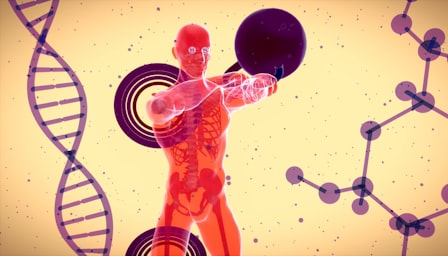 Human anatomy and physiology videos