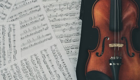 Violin from basics to advanced